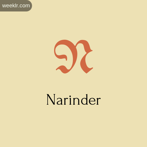 Download Free Narinder Logo Image