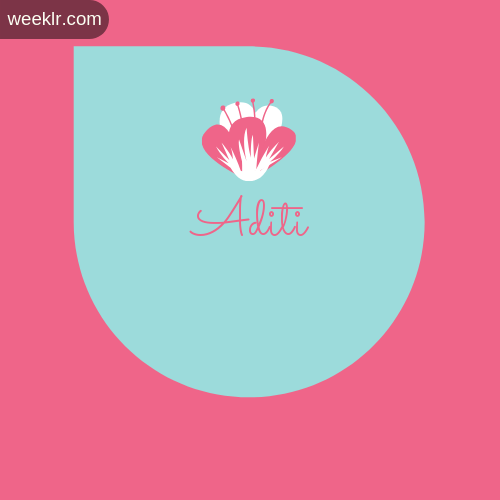 Pink Flowers  Aditi Name Logo Images